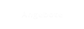Angebote